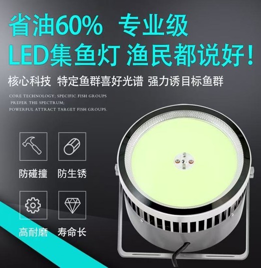 江门集鱼灯